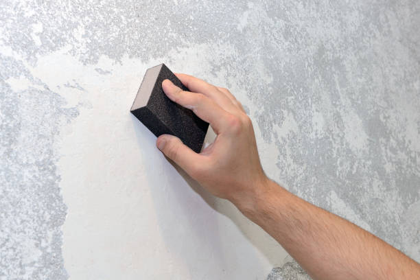Best Basement Mold Removal  in Howland Center, OH