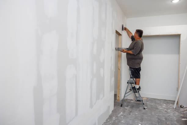 Best Black Mold Removal  in Howland Center, OH